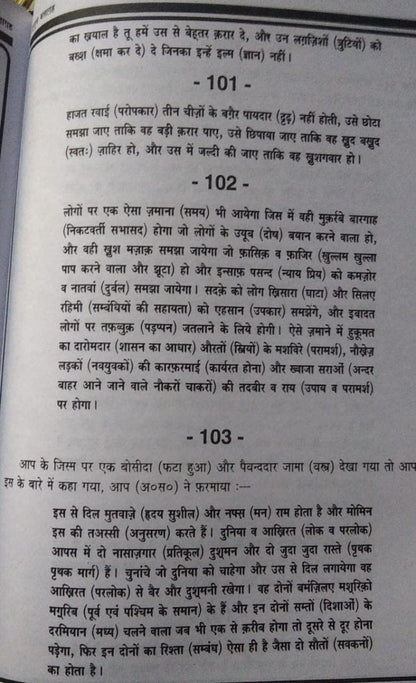Nahjul-Balagha Hindi